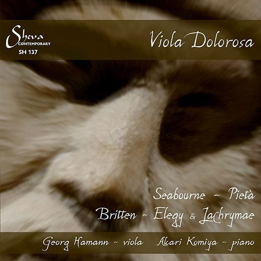 Image of Viola Dolorosa